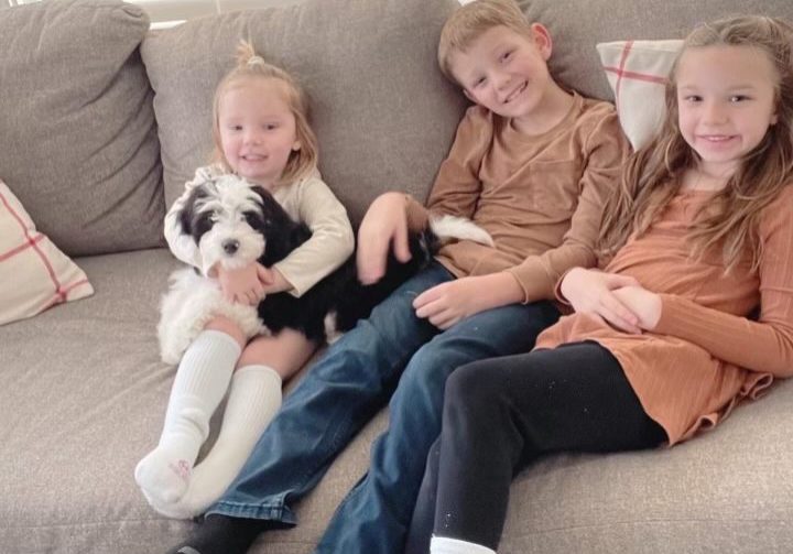 8801E39F-54CC-4FE5-A57C-A3E72ED63ED8-review-e1685547631275