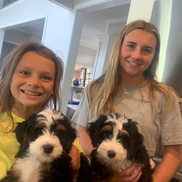 IMG_4511-puppy-review-1536x1152